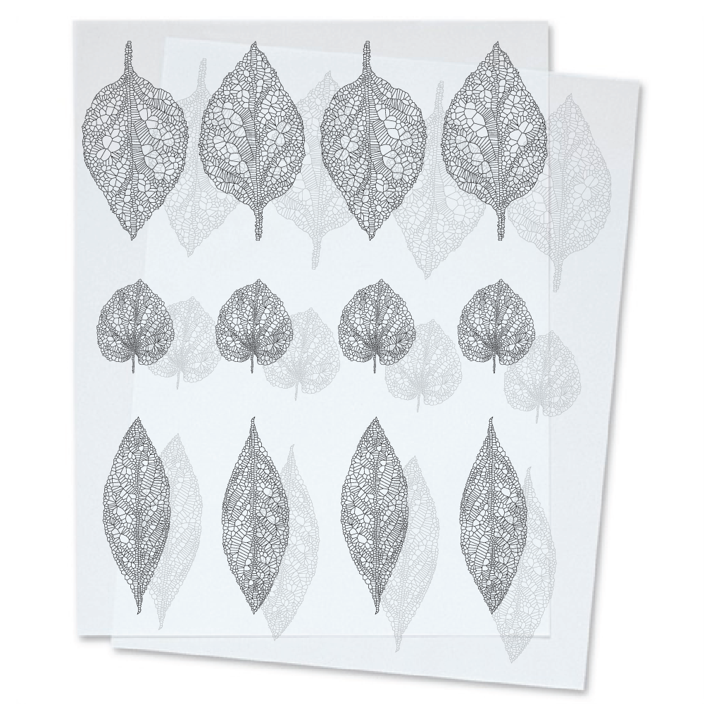 Skeleton Leaves | Vellum